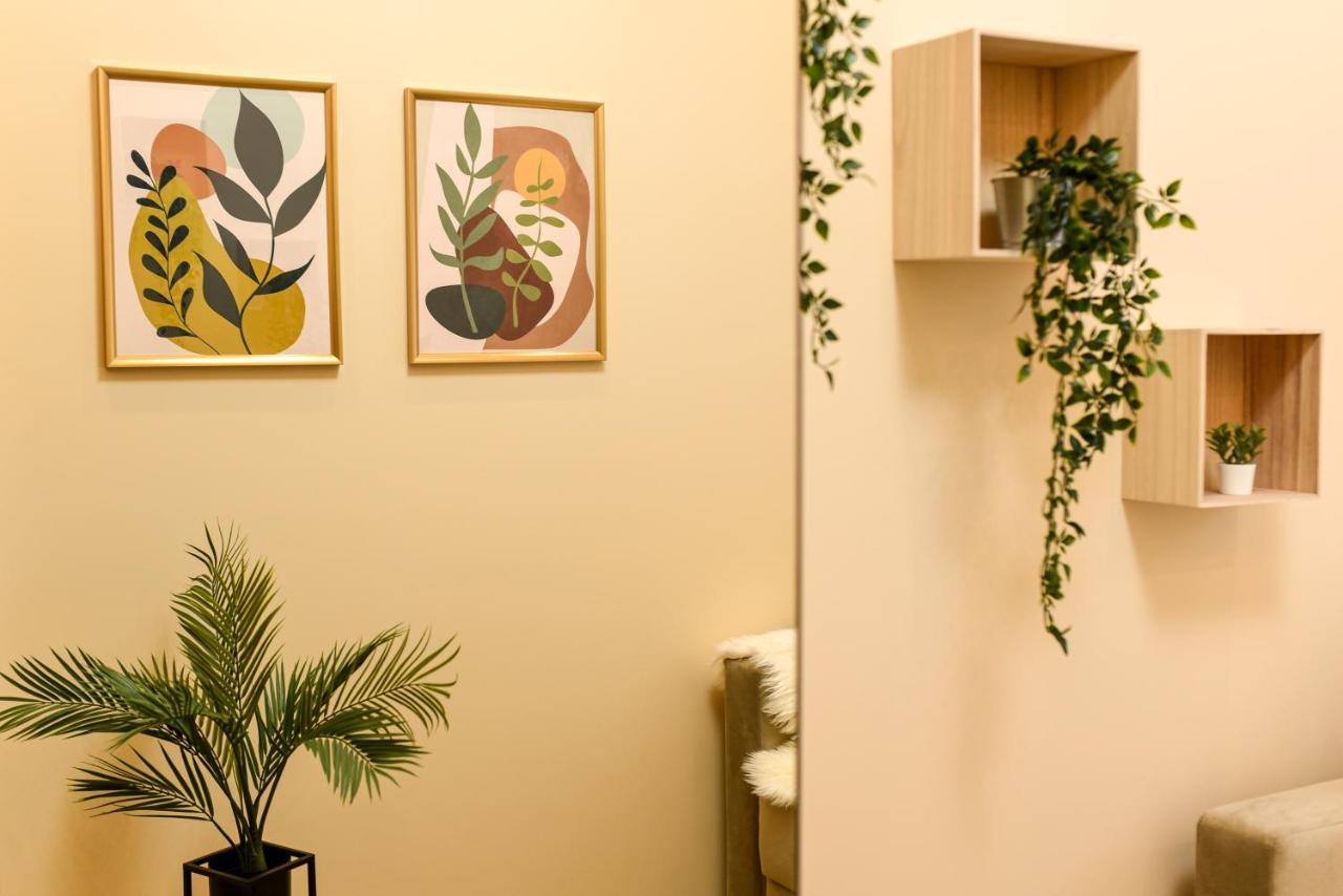 Green Leafy Brasov - Ideal 2 Bedroom Apartment Exterior photo